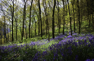 photography course in the brecon beacons